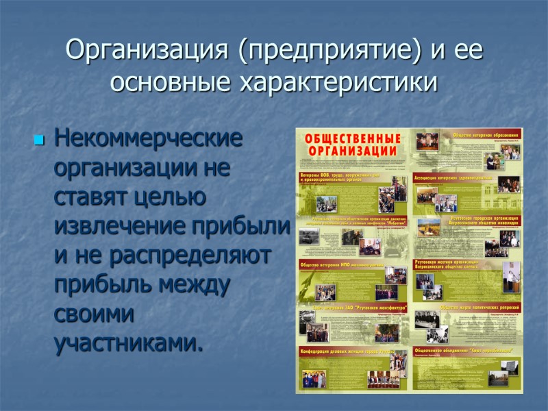 Организация (предприятие) и ее основные характеристики Некоммерческие организации не ставят целью извлечение прибыли и